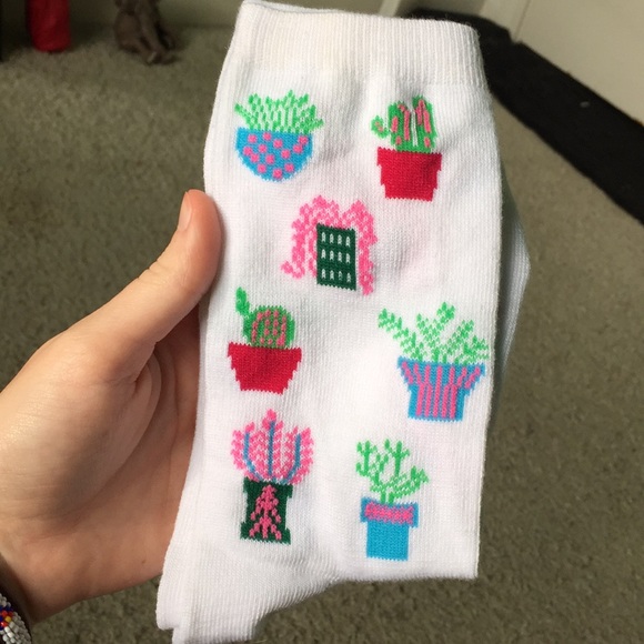 succulent socks :3 - Picture 1 of 2